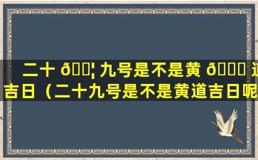 二十 🐦 九号是不是黄 🐞 道吉日（二十九号是不是黄道吉日呢）